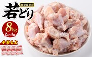 若どり手羽元(8kg)【まつぼっくり】matu-7219