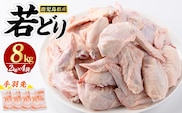 若どり手羽先(計8kg・2kg×4袋)【まつぼっくり】matu-7213