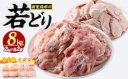 若どりモモ肉4kg・手羽先4kgセット(合計8kg)【まつぼっくり】matu-7222