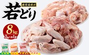 若どりムネ肉・モモ肉・手羽先・手羽元各2kgセット(合計8kg)  鶏肉 小分け 冷凍 鶏肉 もも 鶏もも肉 鶏むね肉 手羽先 手羽元 【まつぼっくり】matu-7214