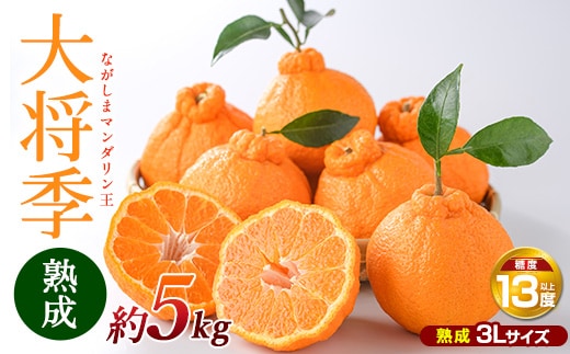 【先行予約】熟成 ながしまマンダリン王(大将季) 約5kg【ながしまマンダリングループ】mandarin-7199