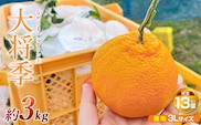 【先行予約】ながしまマンダリン王【露地】(大将季) 約3kg【ながしまマンダリングループ】mandarin-7196