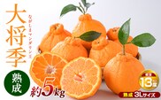 【先行予約】熟成 ながしまマンダリン王(大将季) 約5kg【ながしまマンダリングループ】mandarin-7199