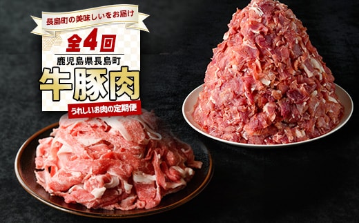 ＜定期便・毎月発送全4回＞ うれしいお肉の定期便 鹿児島県産 豚肉 切り落とし (計4kg・500g×8P) 黒毛和牛 切り落とし (計600g・300g×2P) 【コワダヤ】【宮路ファーム】nagashima-1520