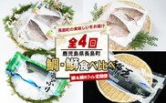 ＜定期便・毎月発送全4回＞ 鯛と鰤の食べ比べ定期便(フィレ) 全4回 長島町特産 nagashima-1514