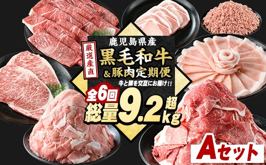 ＜定期便全6回＞黒毛和牛＆豚肉定期便 総重量9.2kg超 赤身 モモ 豚 ミンチ ロースかつ 豚肉 牛肉 切り落とし サーロイン 豚ロース しゃぶしゃぶ すき焼き 【スターゼン】starzen-1534