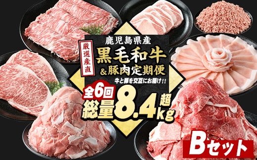 ＜定期便全6回＞黒毛和牛＆豚肉定期便 総重量8.4kg超 赤身 ロース 豚 ミンチ ロースかつ 豚肉 牛肉 切り落とし サーロイン 豚ロース しゃぶしゃぶ すき焼き 【スターゼン】starzen-1535