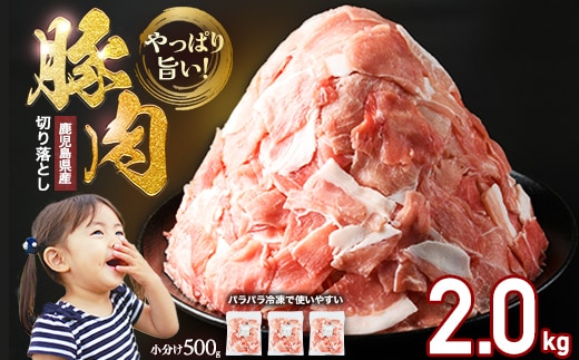 小分け＆パラパラで使い勝手抜群！安心の鹿児島県産 豚肉 切り落とし (計2kg・500g×4P) 訳あり 小間切れ 小分け 冷凍 ふるさと納税 豚肉 切り落とし 【スターゼン】starzen-1638