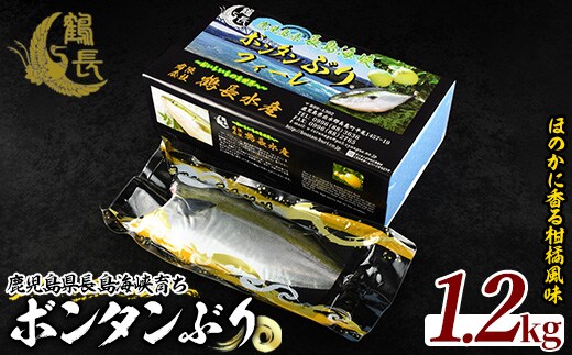 ＜期間限定＞長島海峡育ち！ボンタンぶりのフィレ【鶴長水産】turu-7311R8