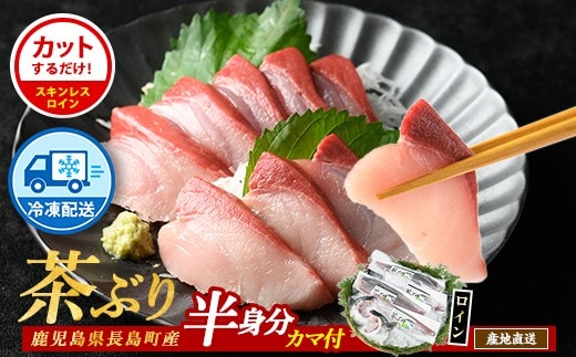 【冷凍】ブリカマ付！茶ぶり スキンレスロイン(片身分・2分の1カット済) 鮮魚 下処理済み ぶり 柵 刺身 ブリ 切り身 鰤 ぶりかま 【ウスイ】 usui-7319R8B