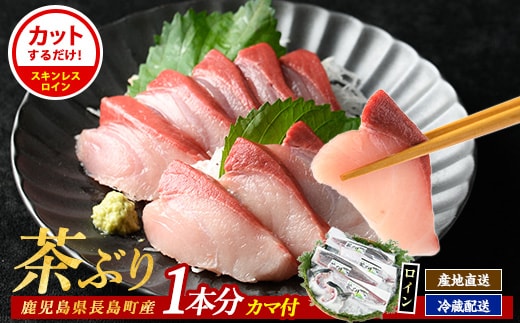 ブリカマ付！茶ぶり スキンレスロイン(1尾分・4分の1カット済)【ウスイ】usui-7324