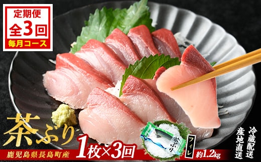 茶ぶりフィレ定期便 毎月 (全3回) 国産 鹿児島県産 ブリ 茶ぶり 鰤 海鮮 海産物 フィレ 魚介 魚 刺身 海鮮丼 産地直送 定期【ウスイ】usui-1383A7