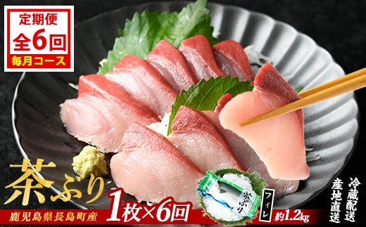 茶ぶりフィレ定期便 毎月 (全6回) 国産 鹿児島県産 ブリ 茶ぶり 鰤 海鮮 海産物 フィレ 魚介 魚 刺身 海鮮丼 産地直送 定期【ウスイ】usui-1384A7