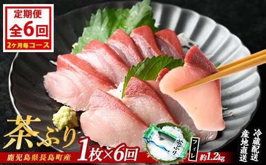茶ぶりフィレ定期便 2ヶ月毎 (全6回) 国産 鹿児島県産 ブリ 茶ぶり 鰤 海鮮 海産物 フィレ 魚介 魚 刺身 海鮮丼 産地直送 定期【ウスイ】usui-1384B7