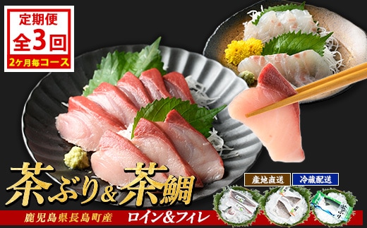 茶ぶり・茶鯛の定期便 2ヶ月毎 (全3回) 国産 鹿児島県産 ブリ 茶ぶり 鰤 茶鯛 鯛 海鮮 海産物 フィレ 魚介 魚 刺身 海鮮丼 産地直送 定期【ウスイ】usui-1385B7