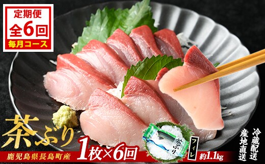 茶ぶりフィレ定期便 毎月 (全6回) 国産 鹿児島県産 ブリ 茶ぶり 鰤 海鮮 海産物 フィレ 魚介 魚 刺身 海鮮丼 産地直送 定期【ウスイ】usui-1603A