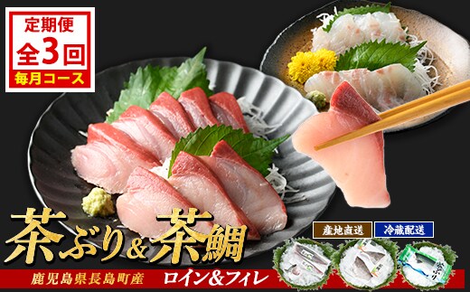 茶ぶり・茶鯛の定期便 毎月 (全3回) 国産 鹿児島県産 ブリ 茶ぶり 鰤 茶鯛 鯛 海鮮 海産物 フィレ 魚介 魚 刺身 海鮮丼 産地直送 定期【ウスイ】usui-1604A