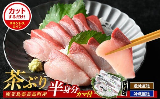 ブリカマ付！茶ぶり スキンレスロイン(片身分・2分の1カット済) 鮮魚 下処理済み ぶり 柵 刺身 ブリ 切り身 鰤 ぶりかま 【ウスイ】 usui-7319R8