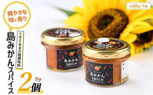長島の島みかんスパイス(2個)【レガーレ・ワキタ】waki-7340
