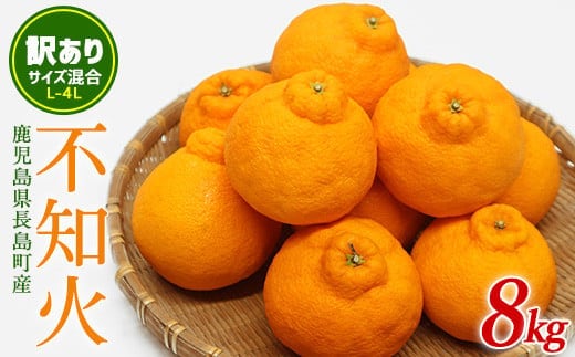 【先行予約】《数量限定・訳あり品》不知火 L~４L サイズ混合 8kg【山上農園】yamagami-7371