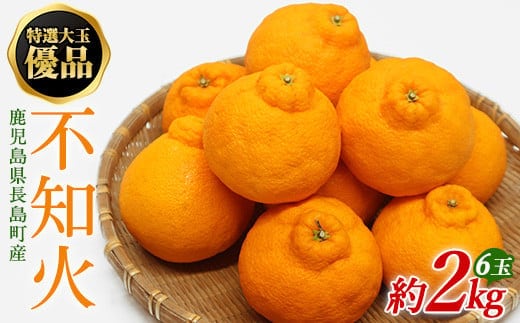 【先行予約】特選大玉 優品不知火６玉入り約２kg【山上農園】yamagami-7372