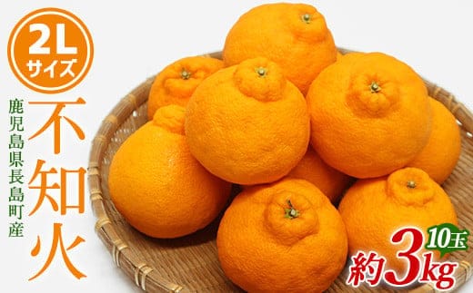 【先行予約】不知火 2Lサイズ 10玉入り約3kg【山上農園】yamagami-775R7