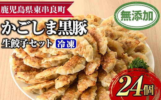 【0095119a】鹿児島黒豚生餃子セット(12個入×2パック・計24個) 黒豚 豚肉 ぶた肉 餃子 ギョウザ ぎょうざ 惣菜 【鹿児島ますや】