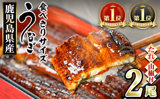 【0074336a】＜食べきりサイズ！＞東串良町のうなぎ蒲焼(無頭)(計2尾・計約200g・タレ、山椒付) うなぎ 蒲焼長焼 ウナギ 鰻 蒲焼き 国産うなぎ 国産 九州産 鹿児島 鹿児島県産 人気 ランキング 高級 家庭用 おすすめ たれ さんしょう 【アクアおおすみ】