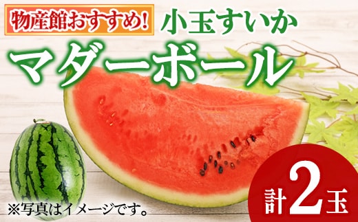 【0075941a】《先行予約受付中！2027年5月以降発送》物産館おススメ！東串良町産小玉スイカ(マダーボール)(2玉) スイカ 小玉 小玉スイカ 小玉すいか すいか 西瓜 果物 フルーツ マダーボール 【東串良物産館ルピノンの里】