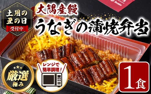 【0065710a】《土用の丑の日受付中！》＜おためし＞大隅産鰻の冷凍弁当(冷凍品)(1食分・計240g タレ、山椒付) 丑の日 うなぎ 高級 ウナギ 鰻 うなぎの蒲焼 蒲焼 国産 ごはん ご飯 お米 おかず 鹿児島 ふるさと レンチン 電子レンジ 【南嘉起屋】