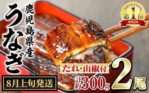 【0104347a-2608】＜8月上旬発送予定＞東串良町のうなぎ蒲焼(無頭)(2尾・計約300g・タレ、山椒付) うなぎ 高級 ウナギ 鰻 国産 蒲焼 蒲焼き たれ 鹿児島 ふるさと 人気【アクアおおすみ】