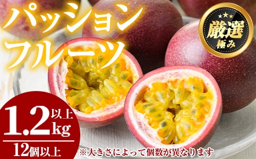 【0105302a】ゆきちゃん農園のパッションフルーツ(1.2kg以上) フルーツ 果物 果実 1キロ 期間限定【ゆきちゃん農園】