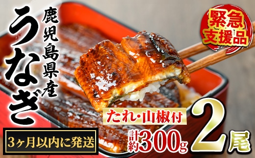 【0114335a】＜3ヶ月以内に発送予定＞東串良町のうなぎ蒲焼(無頭)(2尾・計約300g・タレ、山椒付) うなぎ 高級 ウナギ 鰻 国産 蒲焼 蒲焼き たれ 鹿児島 ふるさと 人気 【アクアおおすみ】