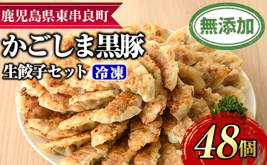 【0125122a】鹿児島黒豚生餃子セット(12個入×4パック・計48個)黒豚 豚肉 ぶた肉 餃子 ギョウザ ぎょうざ 惣菜【鹿児島ますや】