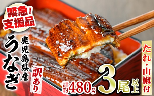 【0134367a】【緊急支援品】＜訳あり＞鰻の蒲焼き(無頭)(3尾以上・計約480g・タレ、山椒付) うなぎ ウナギ 鰻 国産 蒲焼 蒲焼き たれ 鹿児島 ふるさと 人気 支援 【アクアおおすみ】