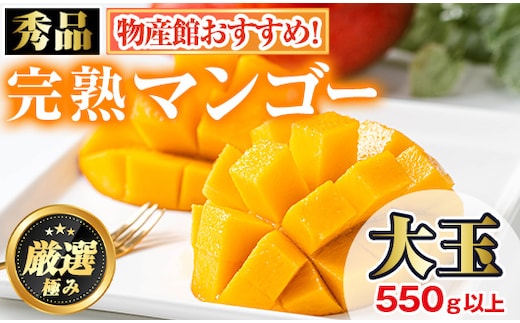 【0145912a】＜秀品・数量限定！先行予約＞南国鹿児島県産の太陽の恵み！完熟マンゴー(大玉1個・550g以上) 果物 フルーツ 果実 デザート 国産 冷蔵 【東串良物産館ルピノンの里】
