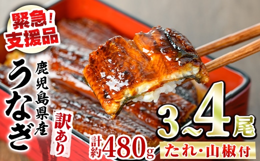 【0154316a】【緊急支援品】＜訳あり＞鰻の蒲焼き(無頭)(3～4尾・計約480g・タレ、山椒付) うなぎ ウナギ 鰻 国産 蒲焼 蒲焼き たれ 鹿児島 ふるさと 人気 支援【アクアおおすみ】