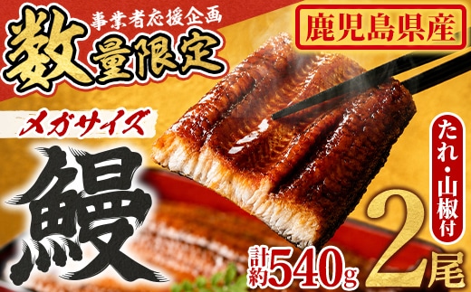 【0164361a】＜数量限定＞＜メガサイズ＞「養鰻業者応援」うなぎ蒲焼き(無頭)(2尾・計約540g・タレ、山椒付) うなぎ 高級 ウナギ 鰻 国産 蒲焼 蒲焼き たれ 鹿児島 ふるさと 人気【アクアおおすみ】