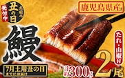 【0104347a-2607】＜土用の丑の日までにお届け＞東串良町のうなぎ蒲焼(無頭)(2尾・計約300g・タレ、山椒付)うなぎ 高級 ウナギ 鰻 丑の日 国産 蒲焼 蒲焼き たれ 国産 九州産 鹿児島県産 ふるさと 人気 【アクアおおすみ】
