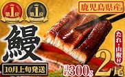 【0104347a-2610】＜10月上旬発送予定＞東串良町のうなぎ蒲焼(無頭)(2尾・計約300g・タレ、山椒付) うなぎ 高級 ウナギ 鰻 国産 蒲焼 蒲焼き たれ 鹿児島 ふるさと 人気 【アクアおおすみ】