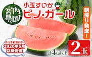 【0165005a】《2026年5月以降発送》小玉すいか・ピノ・ガール(2玉・計4kg以上) 果物 果実 フルーツ スイカ ピノガール 数量限定 期間限定【宮内農園】