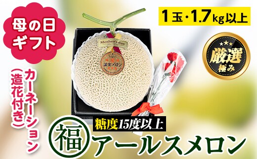 【0151112a-M】＜母の日ギフト・数量限定＞高級アールスメロン(大玉1玉・1.7kg以上、カーネーション(造花)付) メロン フルーツ 果物 果実 1キロ 数量限定 期間限定 贈答 贈り物 母の日【マル福園芸組合】
