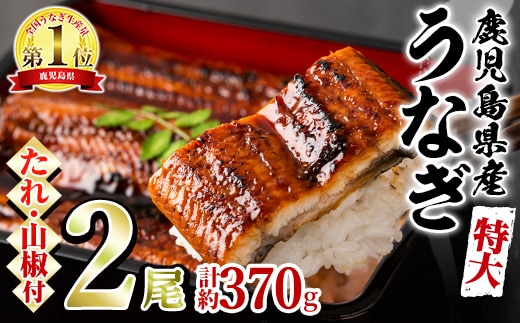 【0154302a】＜特大＞うなぎ蒲焼き(無頭)(2尾・計約370g・タレ、山椒付)うなぎ 高級 ウナギ 鰻 国産 蒲焼 蒲焼き たれ 鹿児島 ふるさと 人気【アクアおおすみ】