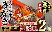 【0104347a-2607】＜土用の丑の日までにお届け＞東串良町のうなぎ蒲焼(無頭)(2尾・計約300g・タレ、山椒付)うなぎ 高級 ウナギ 鰻 丑の日 国産 蒲焼 蒲焼き たれ 国産 九州産 鹿児島県産 ふるさと 人気 【アクアおおすみ】