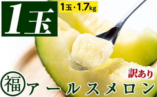 【0111109a】＜訳あり＞マル福の高級アールスメロン(1玉・1.7kg)メロン フルーツ 果物 果実 1キロ 数量限定 期間限定【マル福園芸組合】