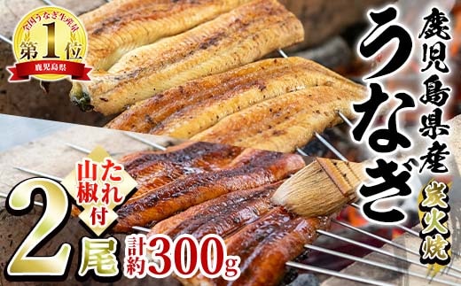 【0174321a】東串良町のうなぎ炭火蒲焼、白焼(無頭)(2尾・計約380g・タレ、山椒付) うなぎ 高級 ウナギ 鰻 国産 白焼き 鹿児島 ふるさと 人気【アクアおおすみ】