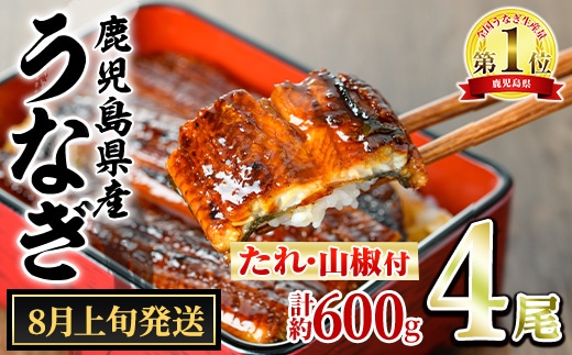 【0204348a-2608】＜6月上旬発送予定＞東串良町のうなぎ蒲焼(無頭)(4尾・計約600g・タレ、山椒付) うなぎ 高級 ウナギ 鰻 国産 蒲焼 蒲焼き たれ 鹿児島 ふるさと 人気 【アクアおおすみ】