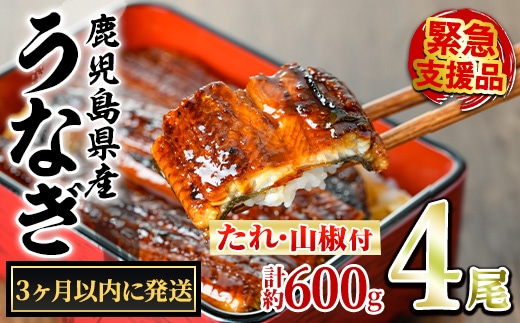 【0224337a】＜3ヶ月以内に発送予定＞東串良町のうなぎ蒲焼(無頭)(4尾・計約600g・タレ、山椒付) うなぎ 高級 ウナギ 鰻 国産 蒲焼 蒲焼き たれ 鹿児島 ふるさと 人気 【アクアおおすみ】