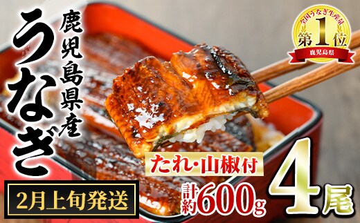 【0244339a-2602】＜2月上旬発送予定＞東串良町のうなぎ蒲焼(無頭)(4尾・計約600g・タレ、山椒付) うなぎ 高級 ウナギ 鰻 国産 蒲焼 蒲焼き たれ 鹿児島 ふるさと 人気 【アクアおおすみ】