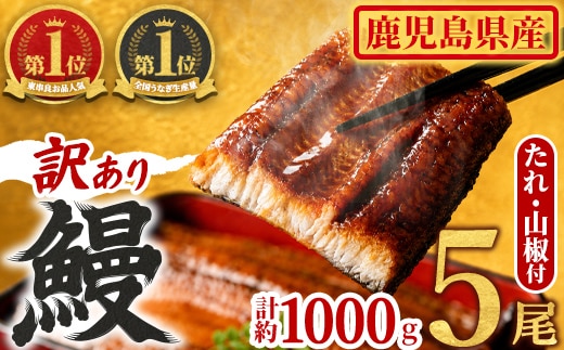 【0254362a】＜訳あり＞東串良町のうなぎ蒲焼(無頭)(5尾以上・計約1kg・タレ、山椒付) 数量限定 うなぎ 高級 ウナギ 鰻 国産 蒲焼 蒲焼き たれ 鹿児島 ふるさと 人気【アクアおおすみ】